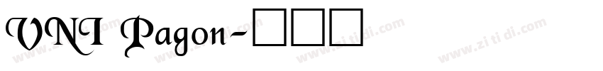 VNI Pagon字体转换